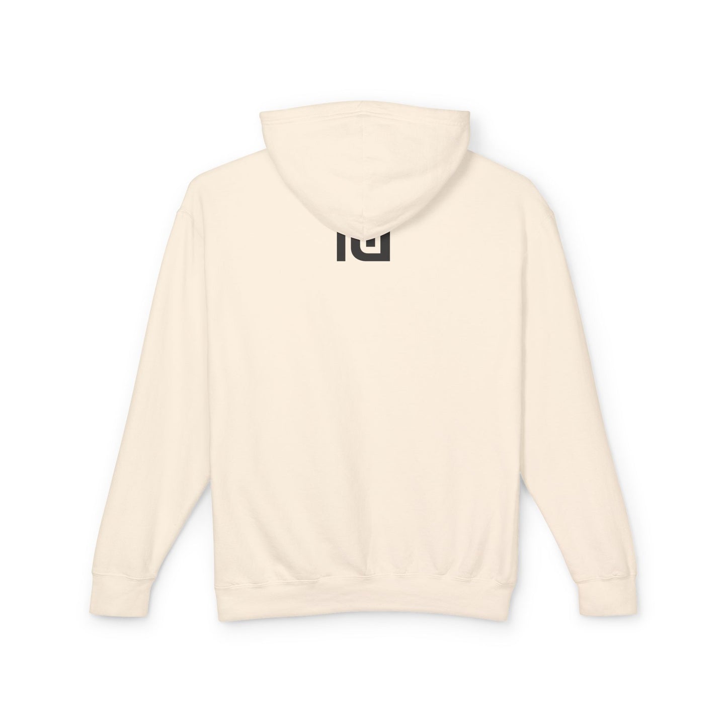 We Built This Hoodie — Patriotic Lightweight Hooded Sweatshirt